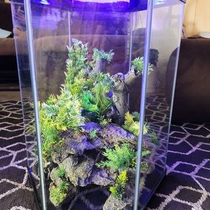 25 gallon hexagon fish tank with decorations